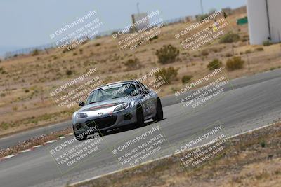 media/May-03-2025-Lucky Dog Racing (Sat) [[206de64b9d]]/Turn 6 (150pm-230pm)/